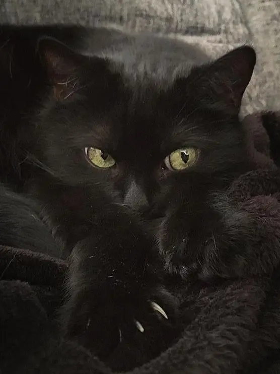 Itkung의 납치범 유저