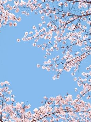 [사랑과 우정의 사이] 대표 이미지