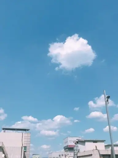 ParadiseLover의 𝐻𝐴𝑁𝐾