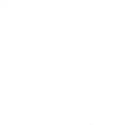 Rurru1221의 할로윈 싸이코드