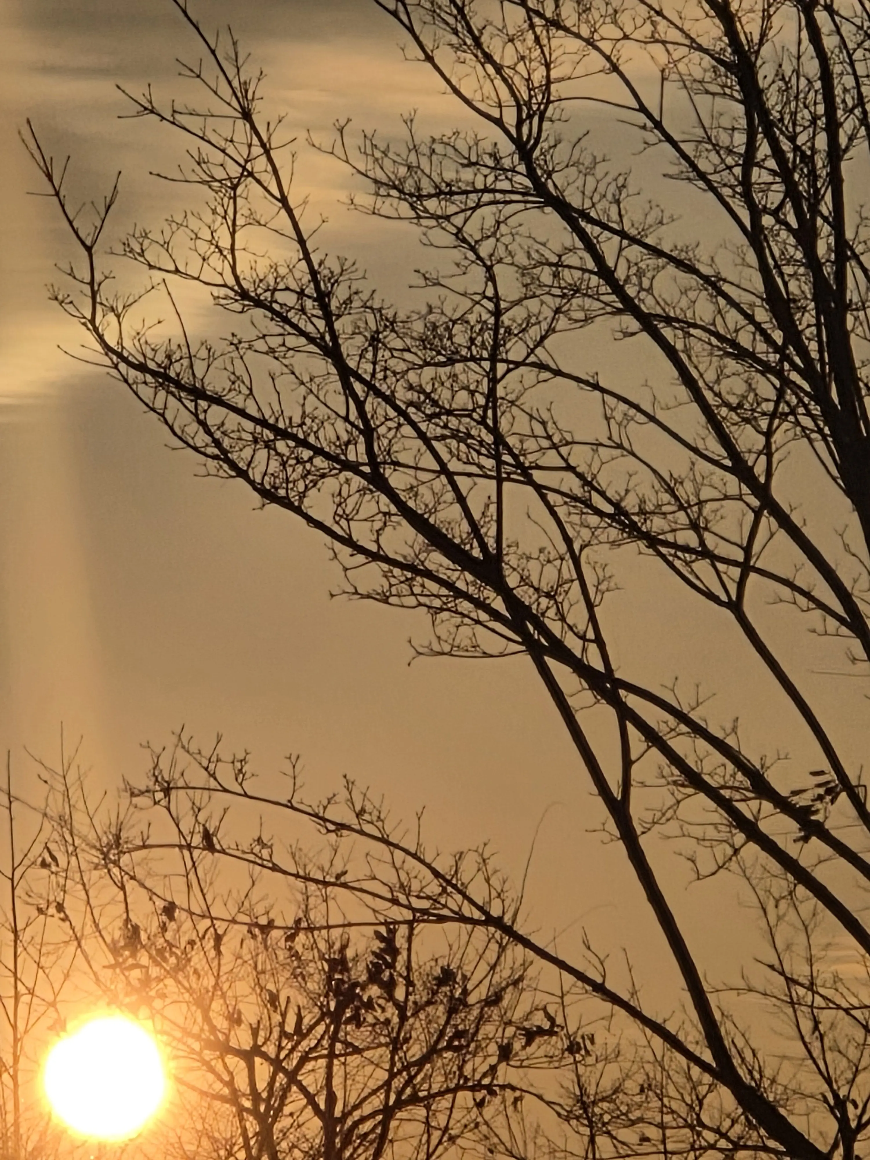 ChubbyCrane2960의 자네는 누군가?