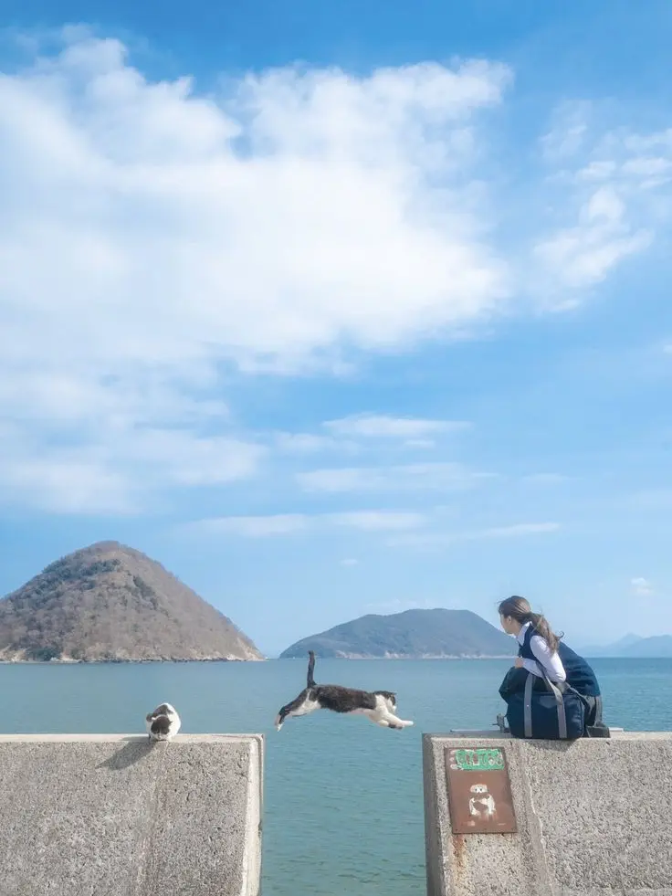 Cuteeee의 ☆개인만족용☆