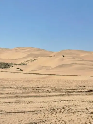 jjua1004의 데드파더스