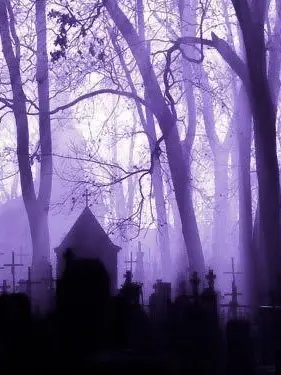 Sylvikimchi의 Where the Void Lingers