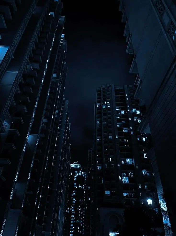 choyull의 픽셀리 조직