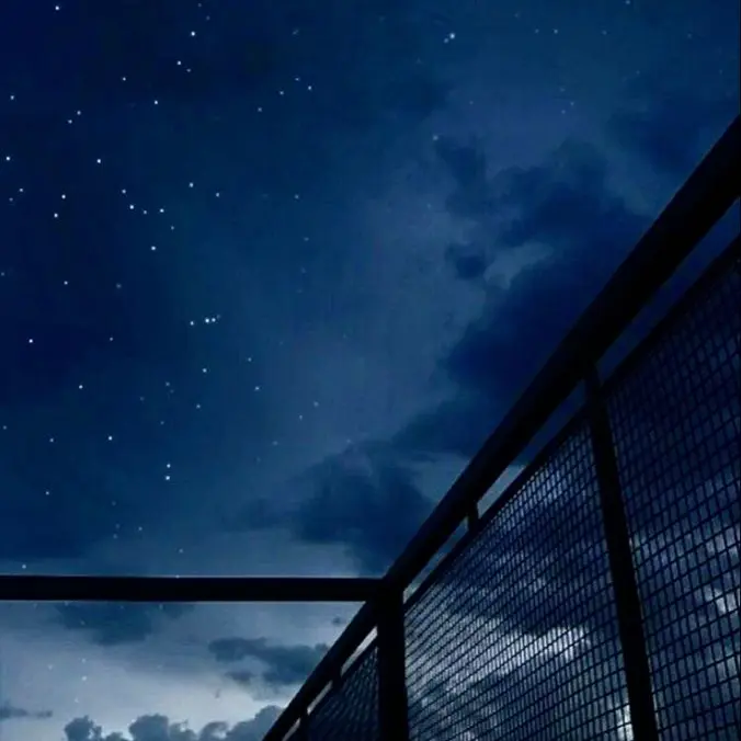 choyull의 픽셀리 조직