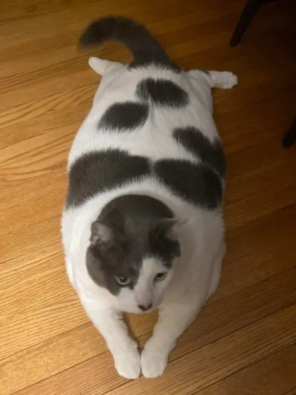 Dhdgduhsg의 아저씨