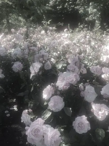 nikku_0912의 タソガレドキに攫われて愛される！？