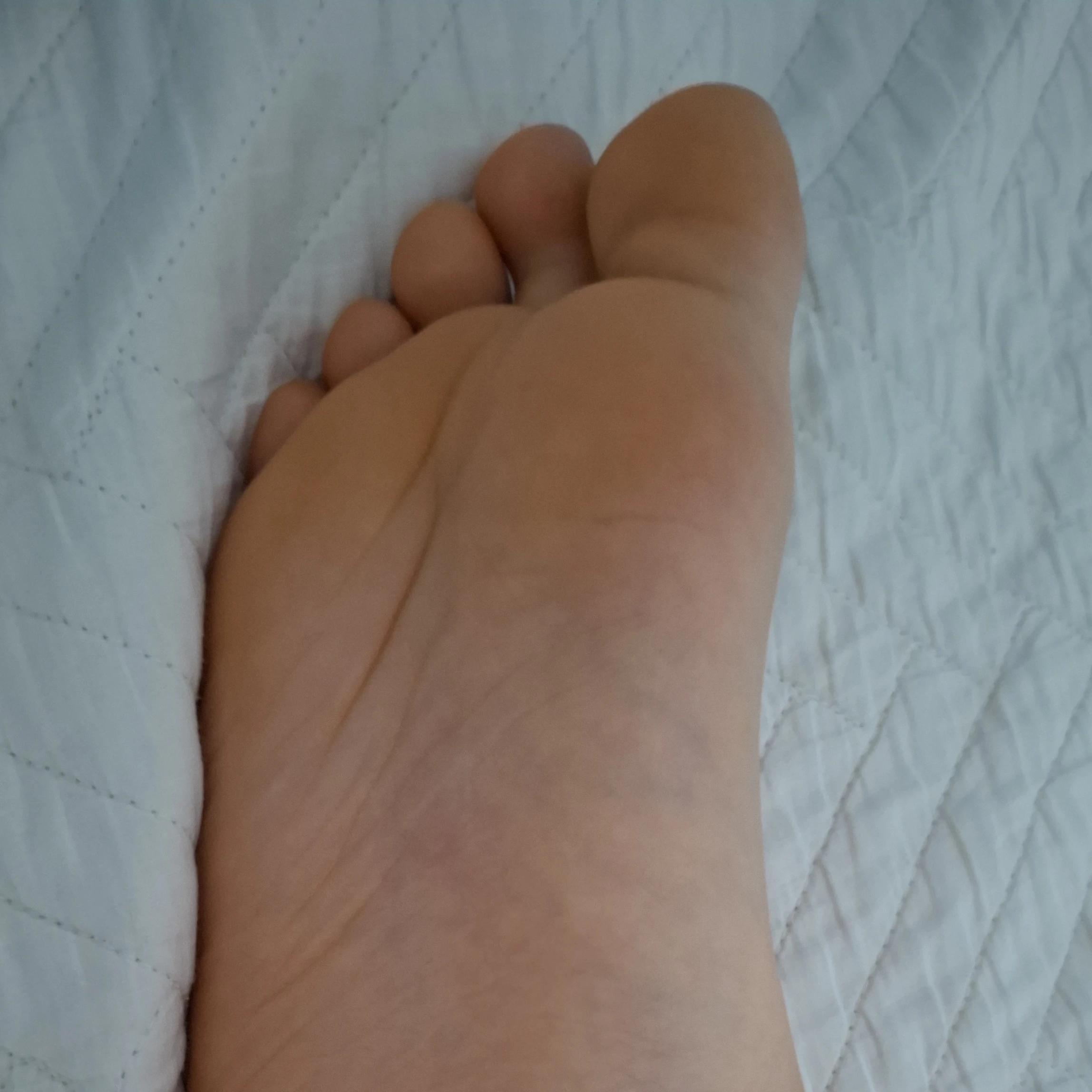 발 좋아하는 서진