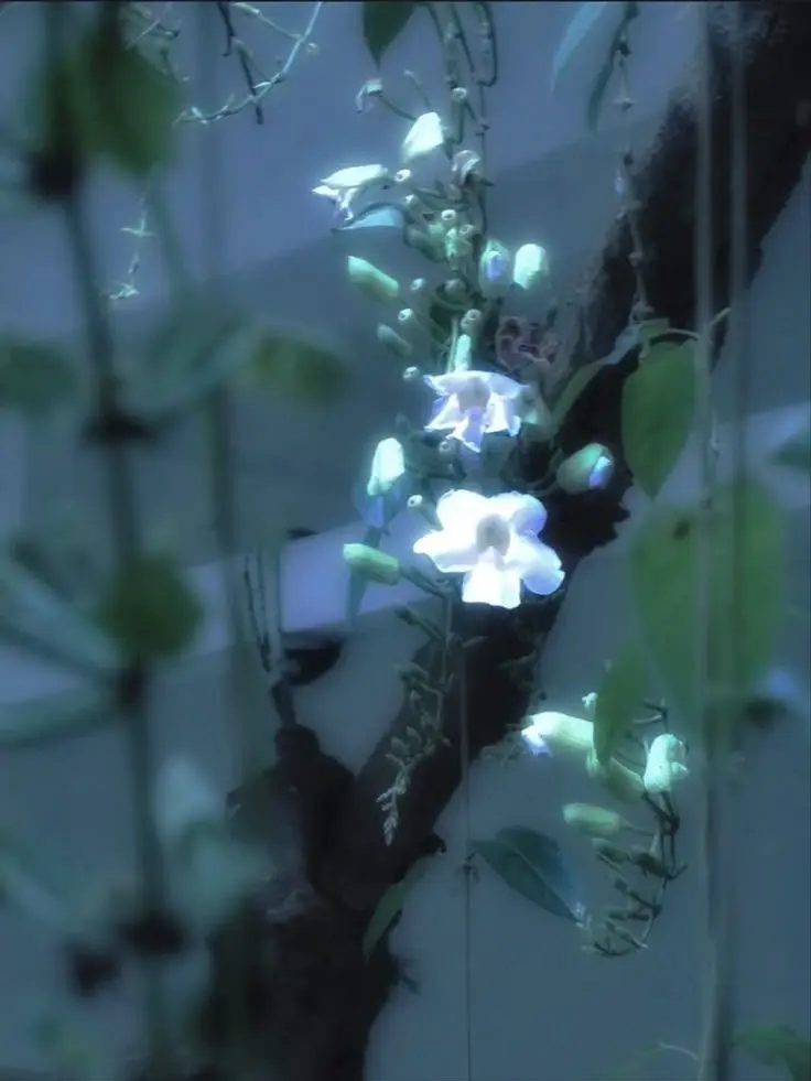 mylovehptgrm의 0107