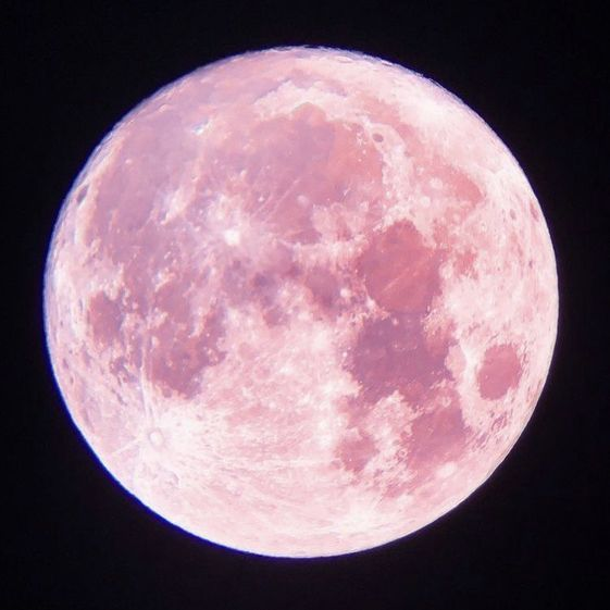 鴛鴦 대표 이미지