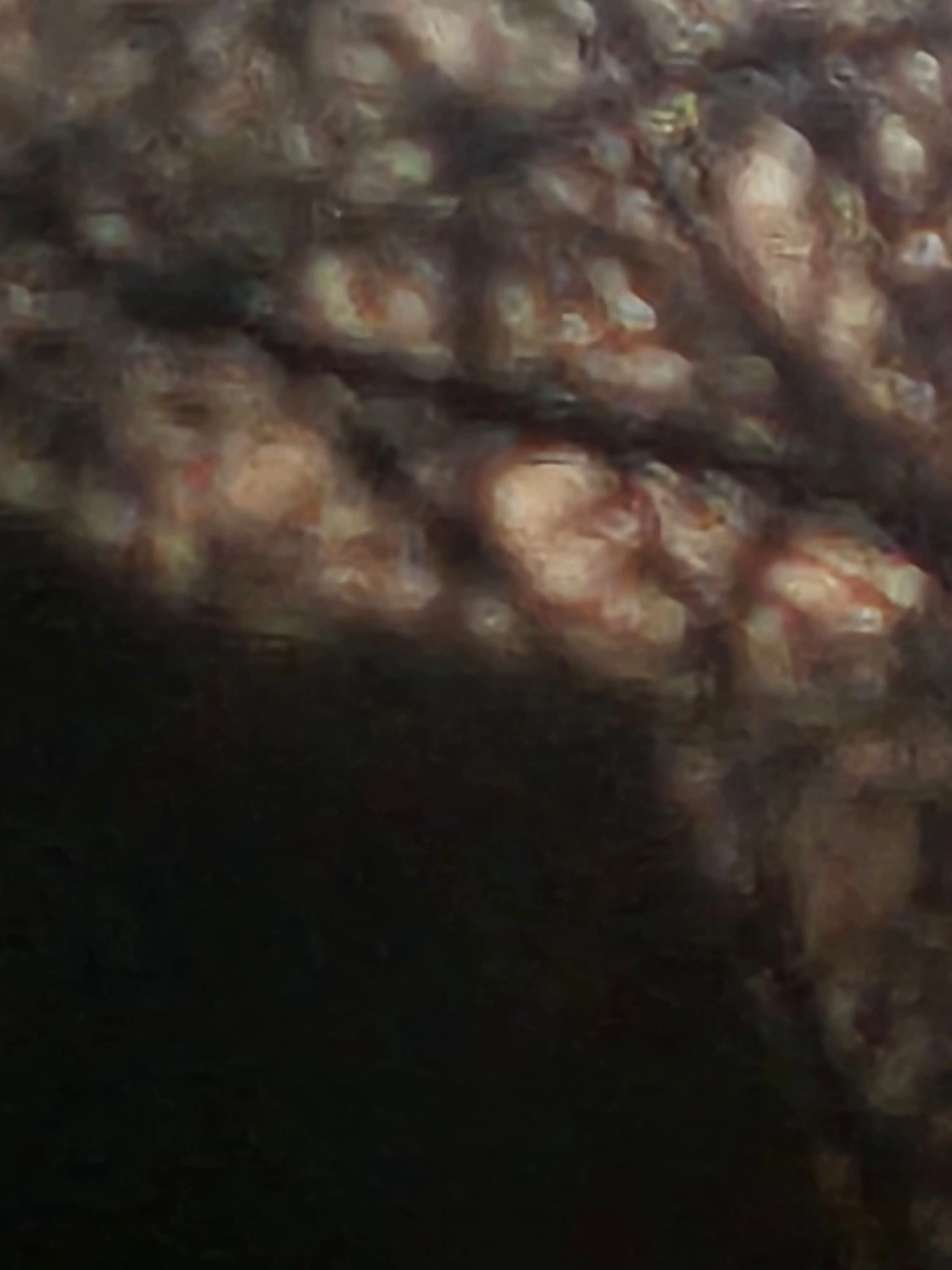 NoisyOlive2427의 소요중학교