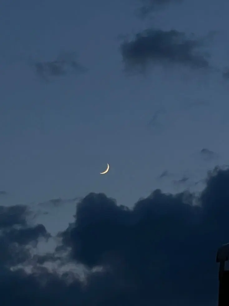 plant___0x0의 きょーさんと喧嘩して手をだされました。