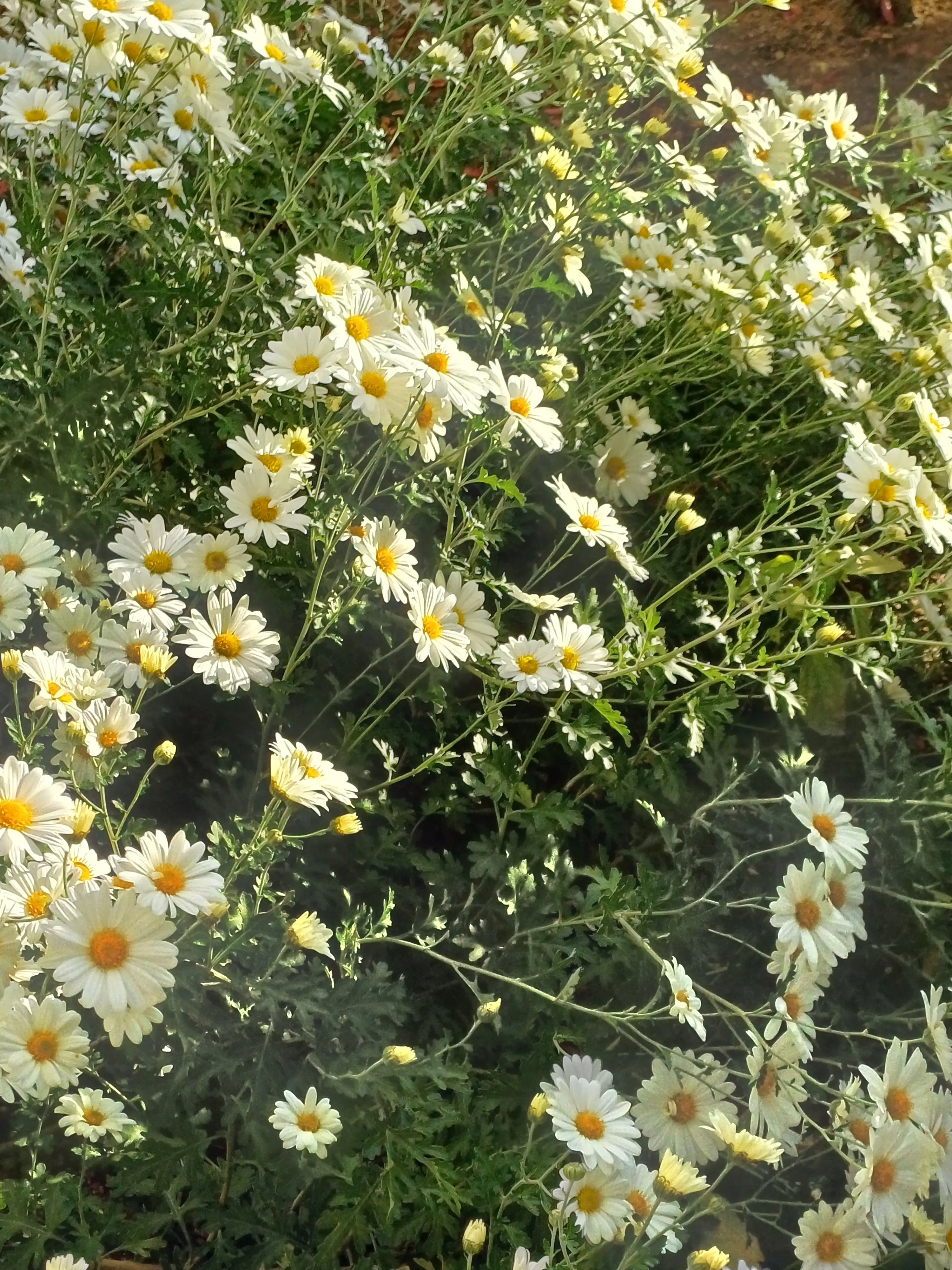 VainCity5558의 💙