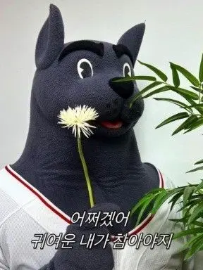 gylin의 조병현