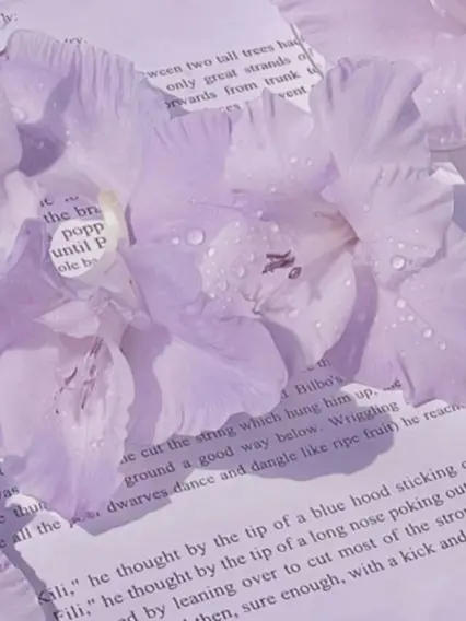 30O의 로맨스의 정의란.