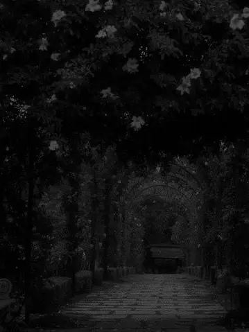 LemonyShot3830의 彼氏…？