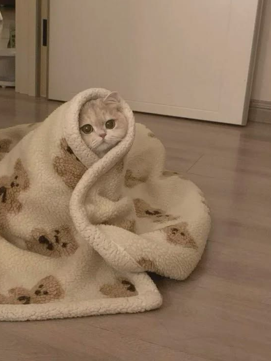 공주님 돌보기 대표 이미지