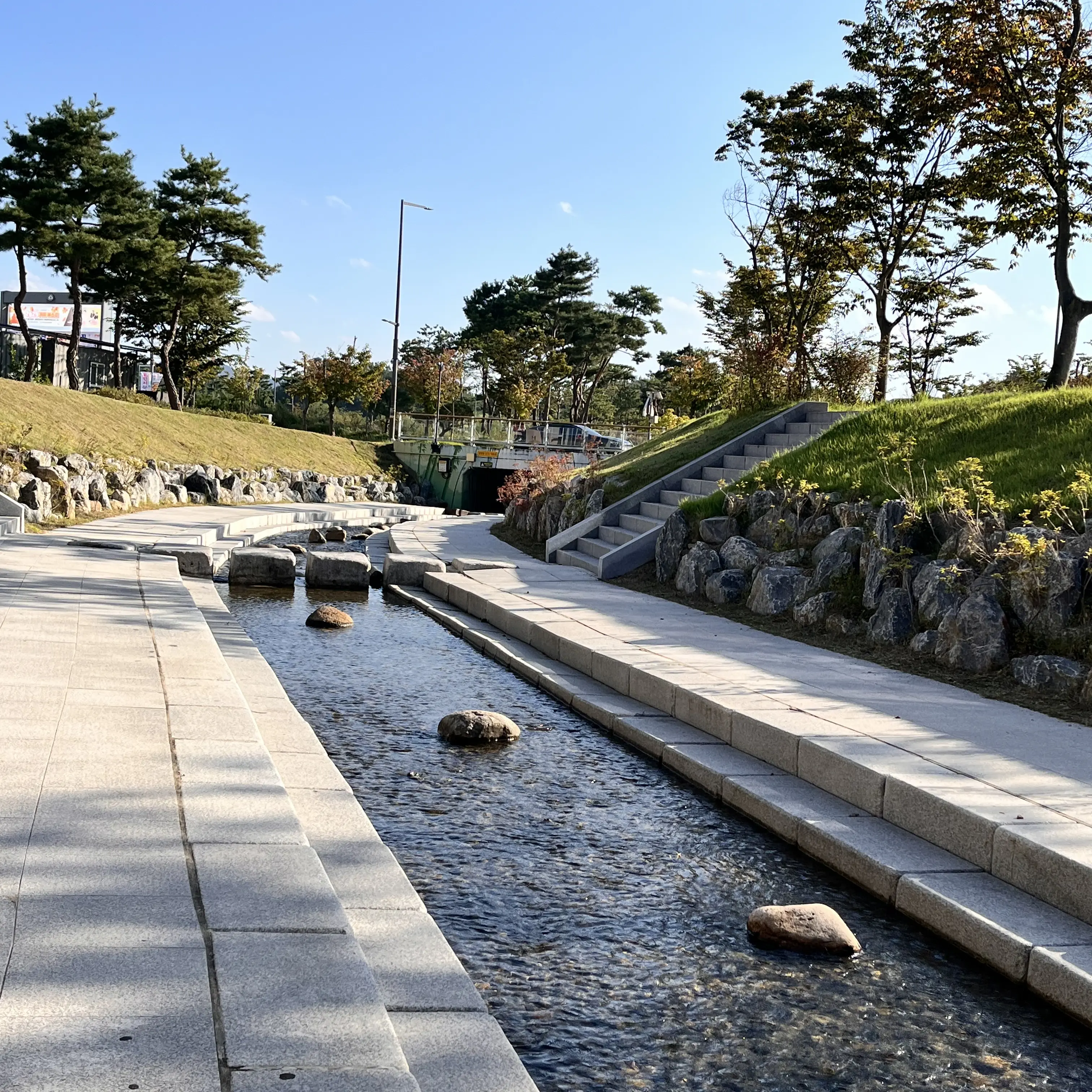 CrispyPlane3463의 엉뚱한 선생님들^^