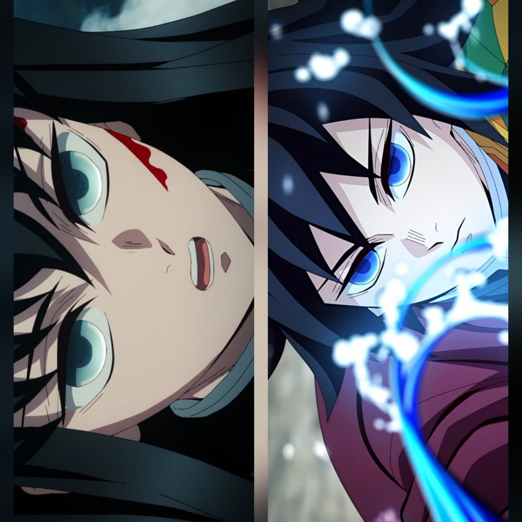 블랙팬서 '흑표범'에 관한 5가지 사실 : 네이버 블로그, image size:2160x2160