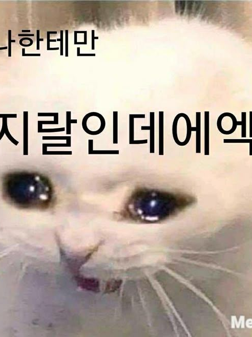 상하 초등학교로 오세요! 대표 이미지