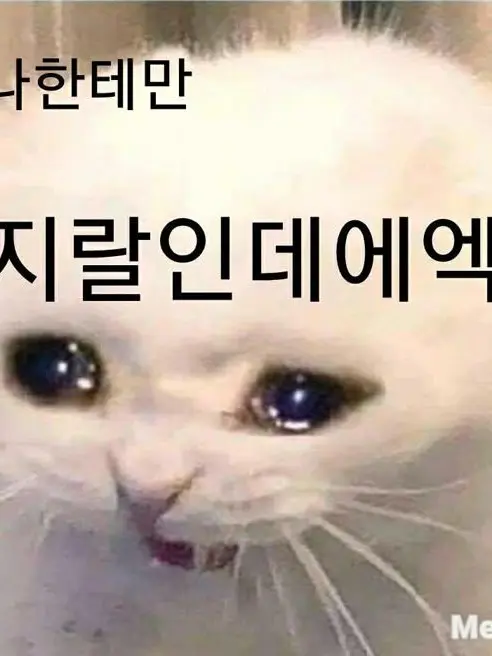 DecentCell2081의 상하 초등학교로 오세요!