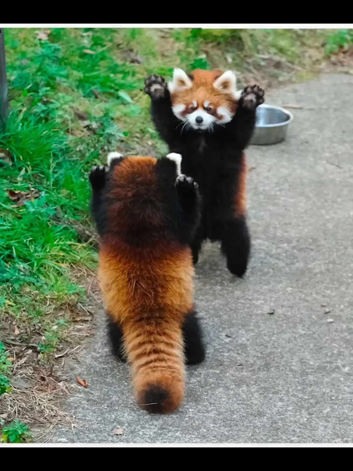 ShortTower9835의 엠티인데.. 여우