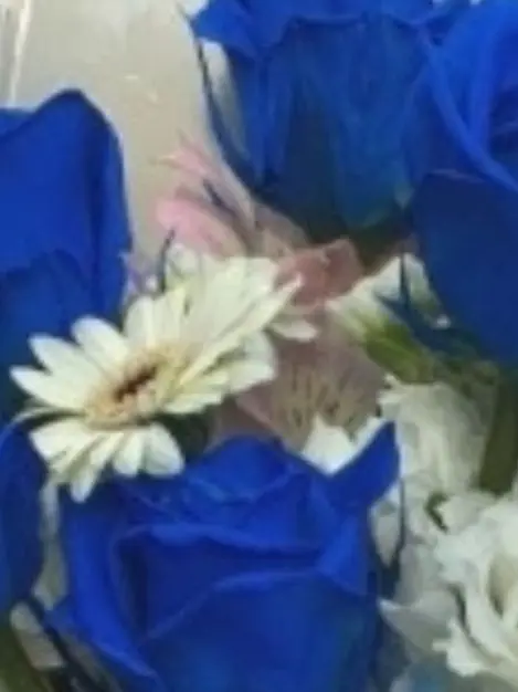 crazy_crazy의 PARADISE!