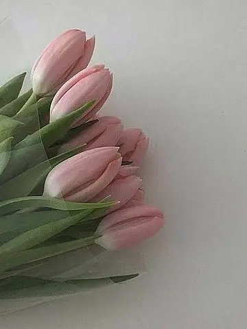 sa._.no25의 _ 너 에 게 주 는 포 상 _