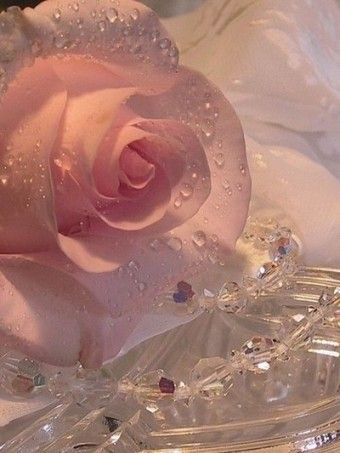 친구의 배신 대표 이미지