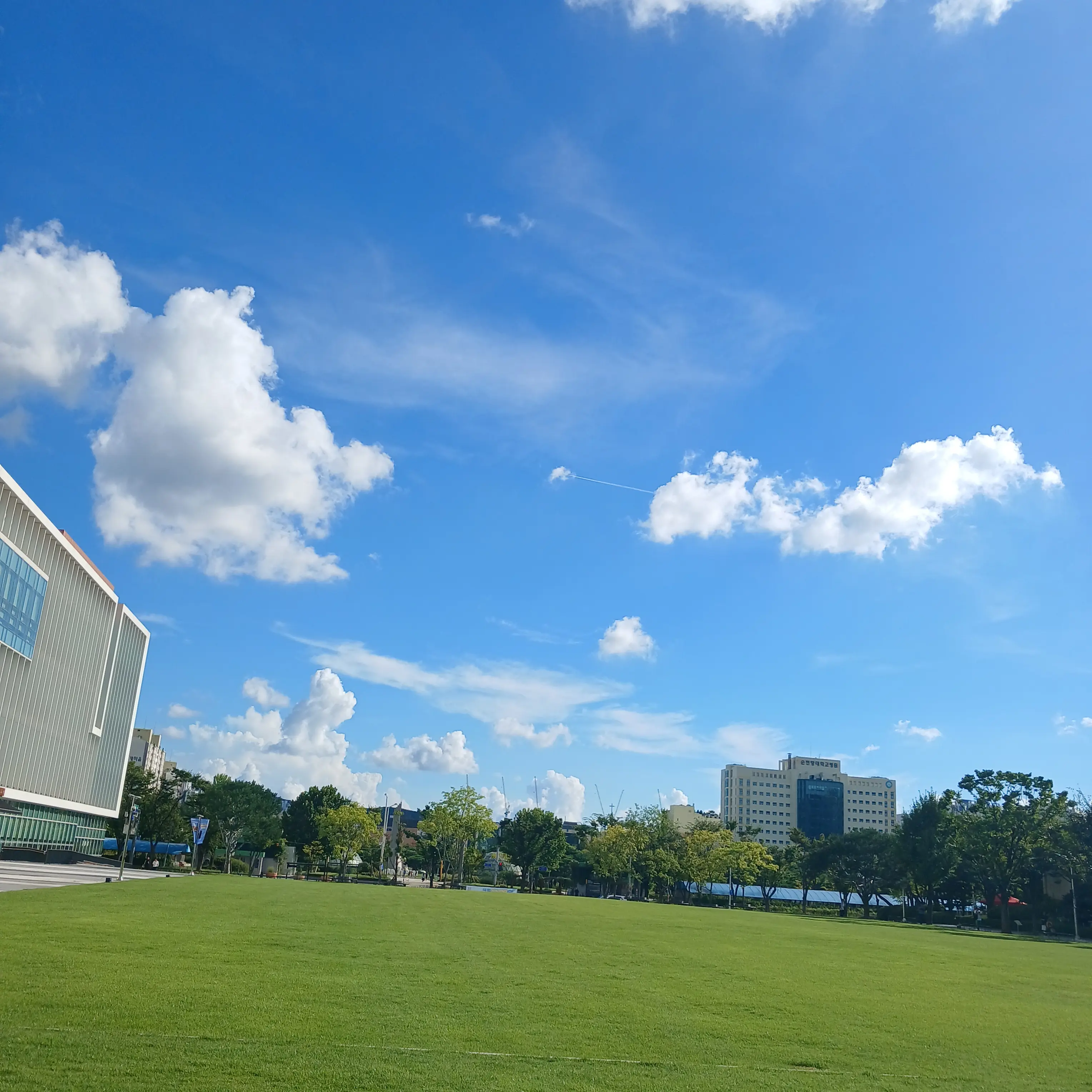 Muichiro_Love_Lieng의 박재하와 연애 (근데 여우를 곁들인.