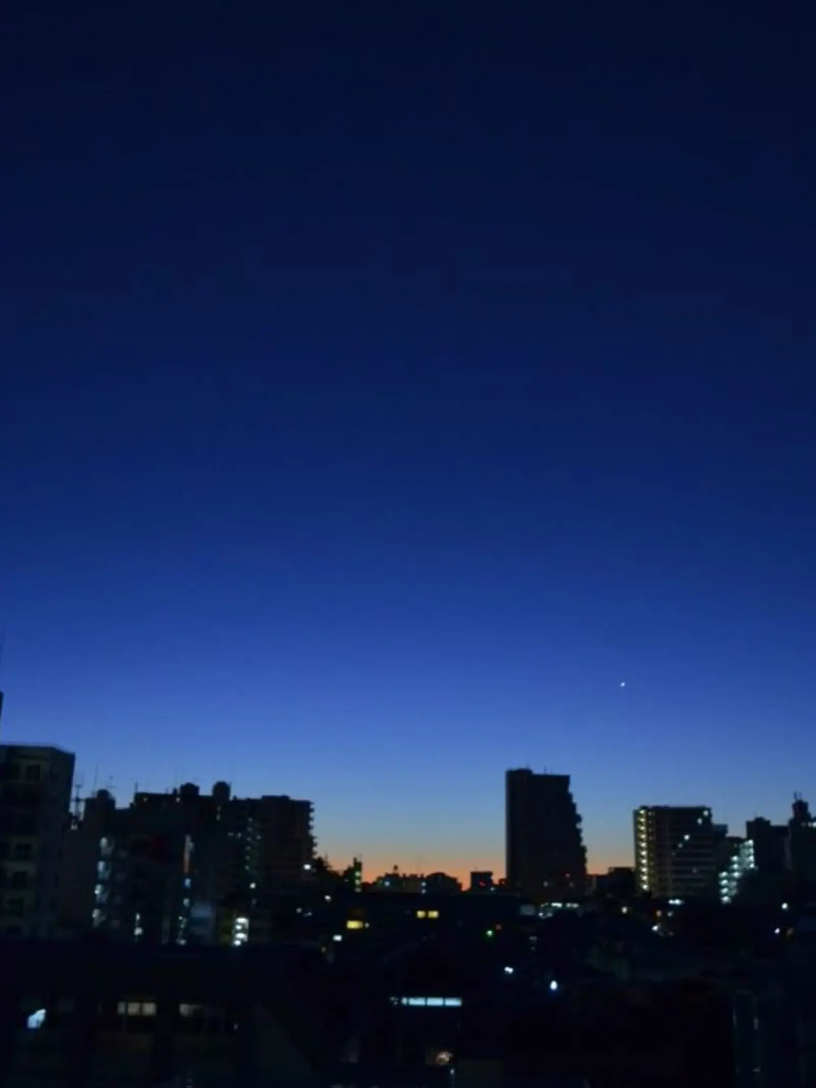 Tenhua_ruibostea의 がっこうぐらし！