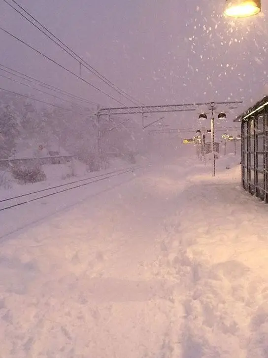 xu_ilo의 팀 대저택