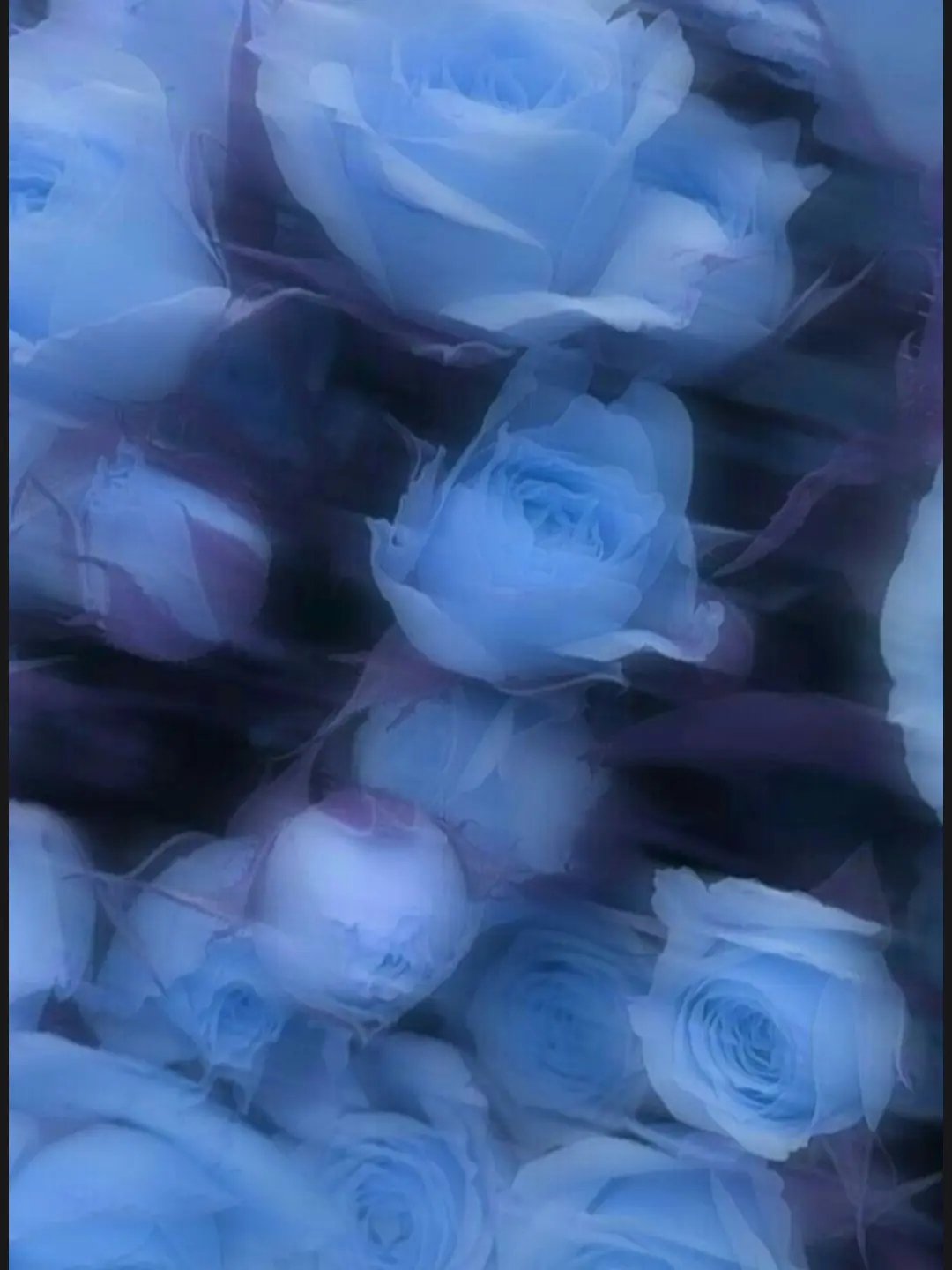 _QuQ_의 I've Been Watching... 🟦🧣