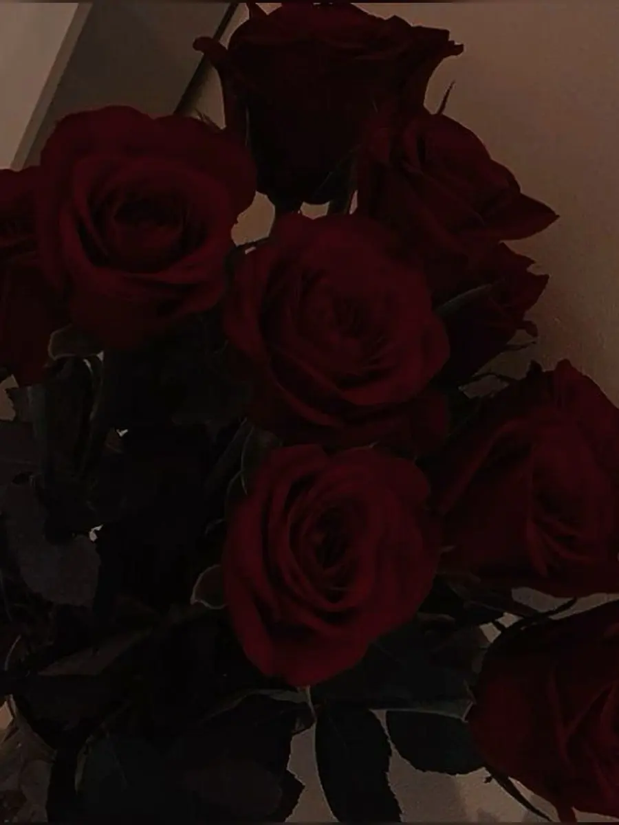 StormyMall8870의 隙を見せた貴方が悪い