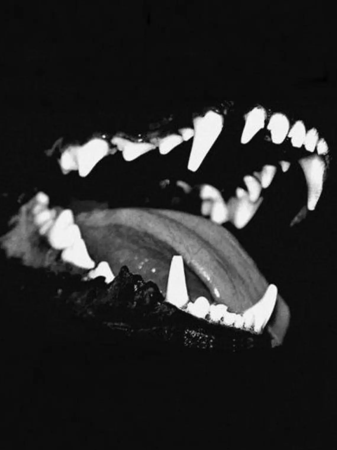 B_C.row의 I Thought You Looked Tasty