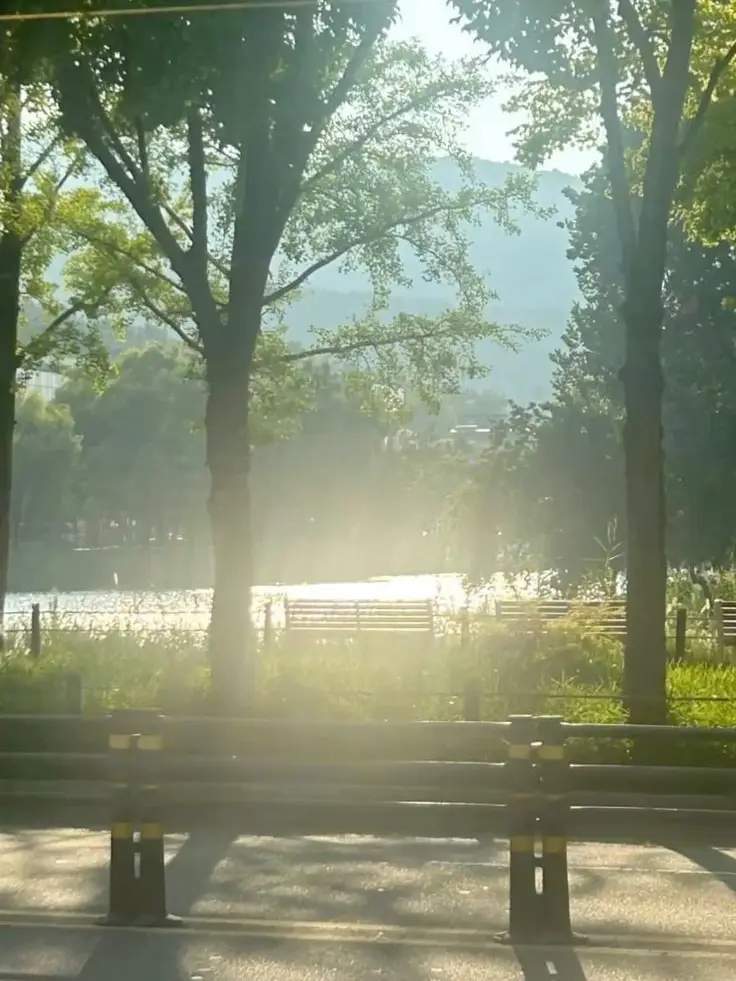 WaryTruck4117의 여름이었다