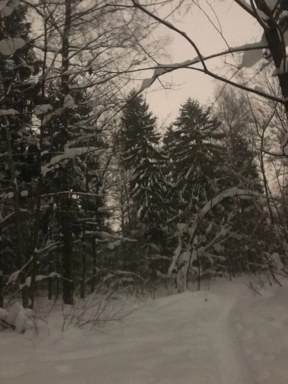Llooser22의 Winter night