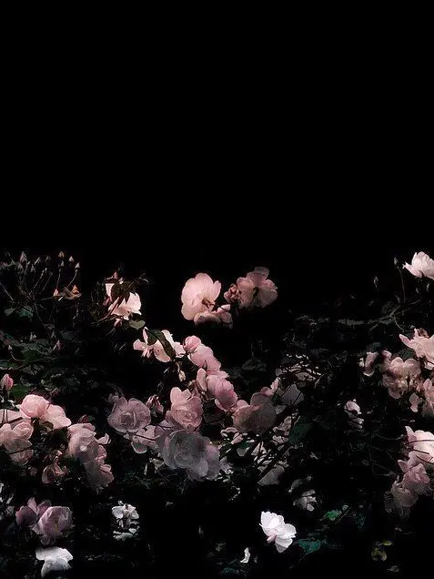 Idk_but_love_you의 개인용