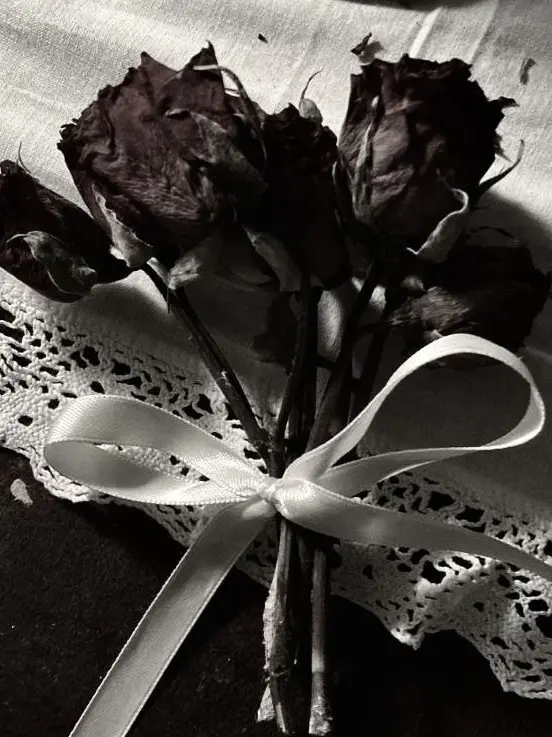 ONFYWZ의 花有重開日 人無更少年