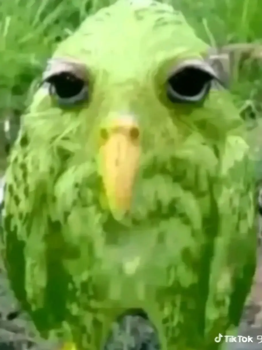 ggggghg의 천사와악마
