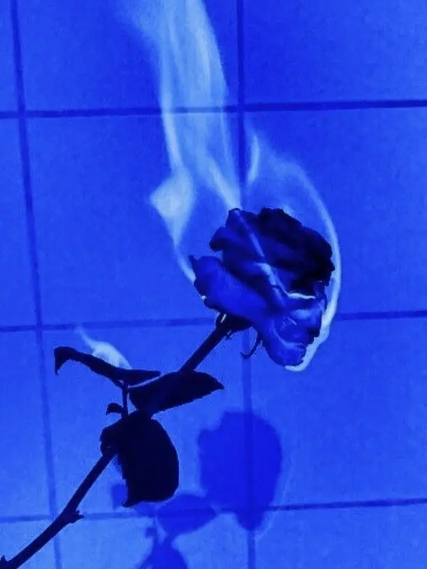 CreamyHeart의 ᗡǝɐpๅᴉuǝ