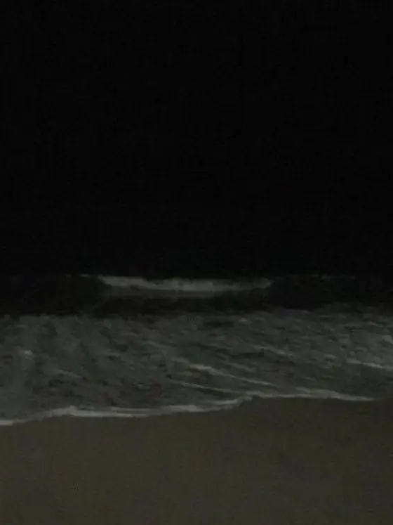 10575의 진격의 거인