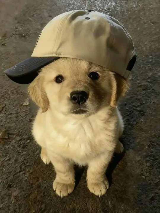 chaeeeeee의 김승민