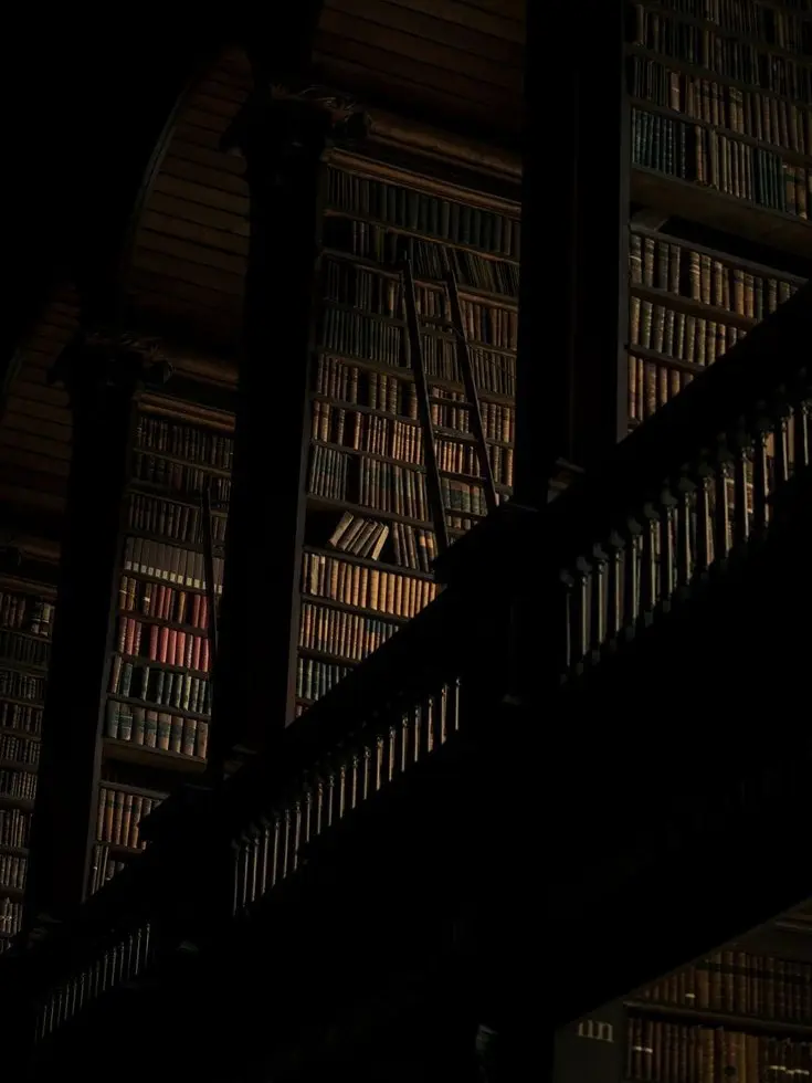 Ilovelimbus의 지금 이 감정만큼은