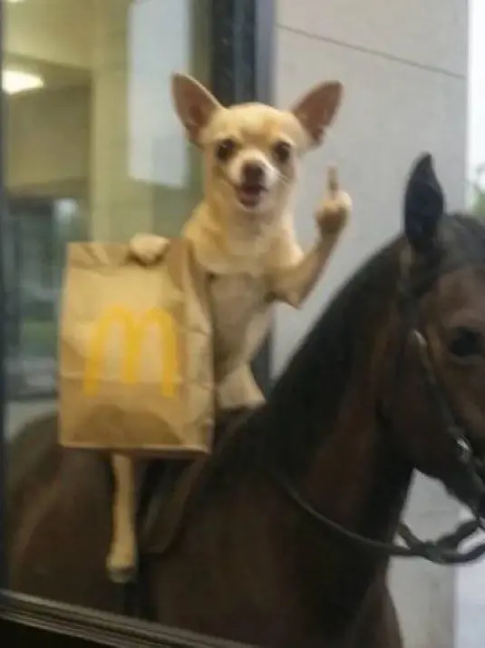 nagatoro_hayase의 개인용22