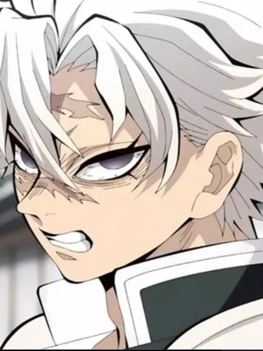 OutlawCache9735의 시나즈가와 사네미