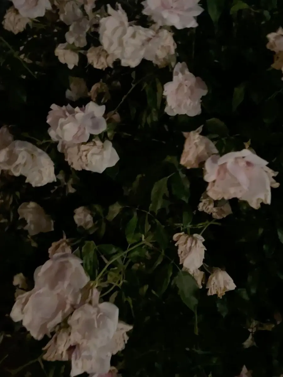 fu_.a02의 ネメシス収容施設