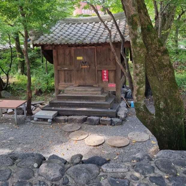 개인용🌲