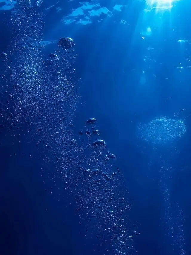 tokotoko194의 潮騒が呼んでる